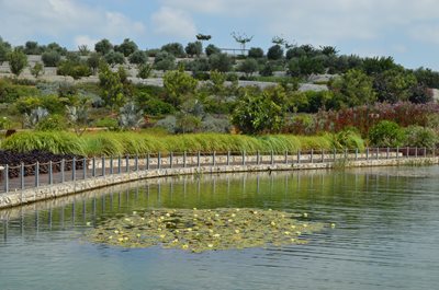 Ariel Sharon Park's tranquil lake, complete with floating lily pads and a border built from recycled concrete, is a far cry from the waters of the former landfill that were once referred to as 'garbage juice' (Photo: James S. Galfund)