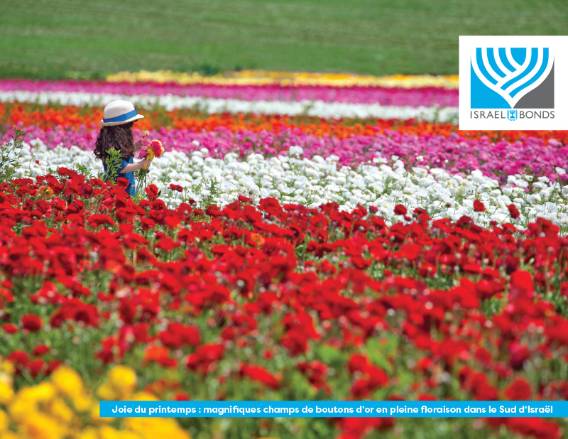 Israel Bonds Tribute Card Collection Happy Birthday